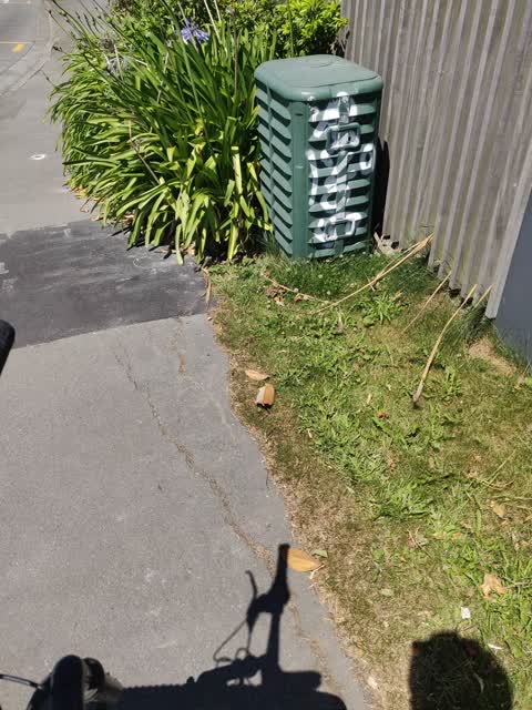 Graffiti, a report photo