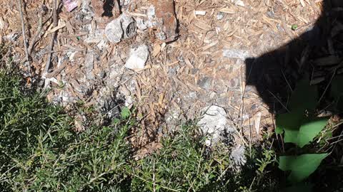 Rubbish/Recycling, a report photo