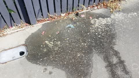 Water Leak, a report photo