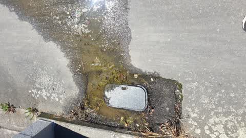 Water Leak, a report photo