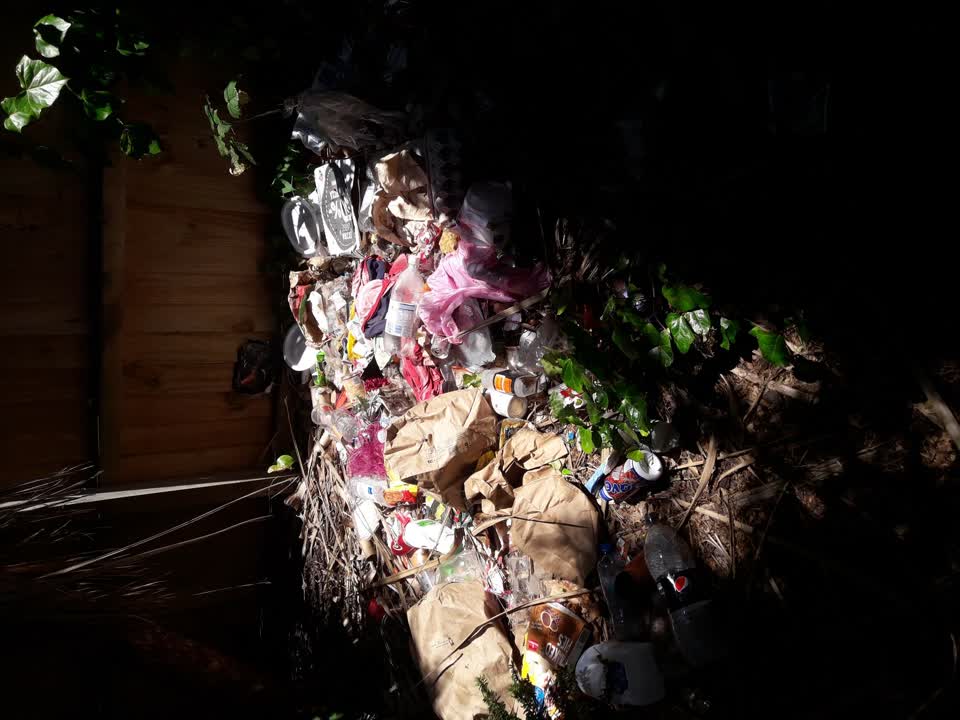 The photograph attached to this parks report