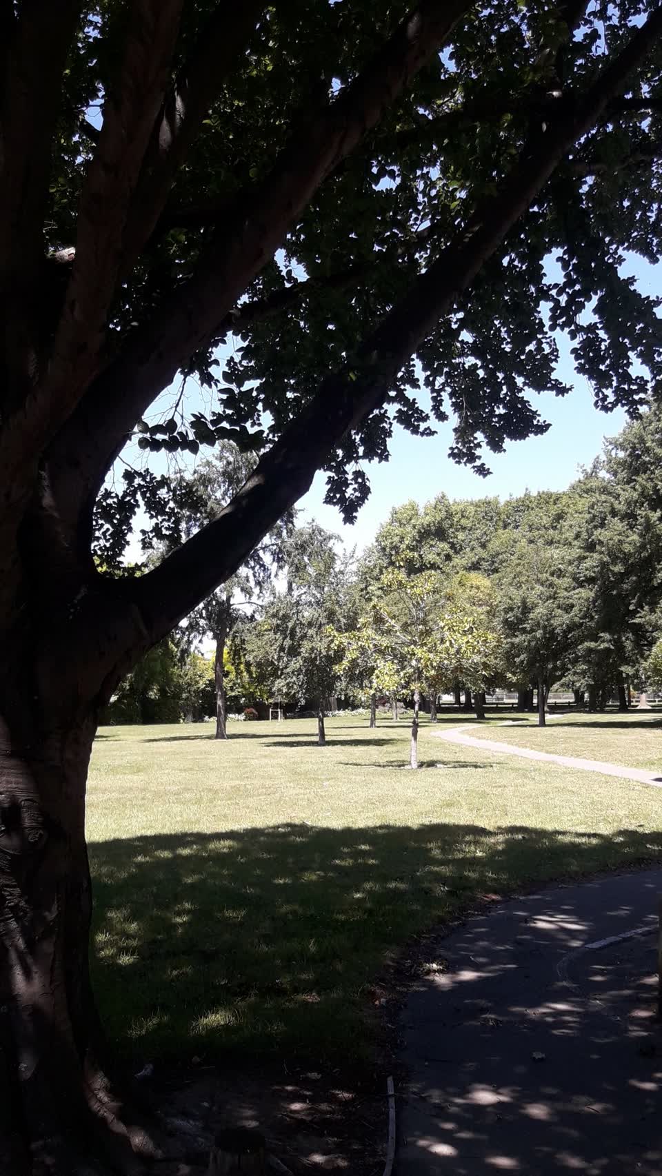 The photograph attached to this parks report