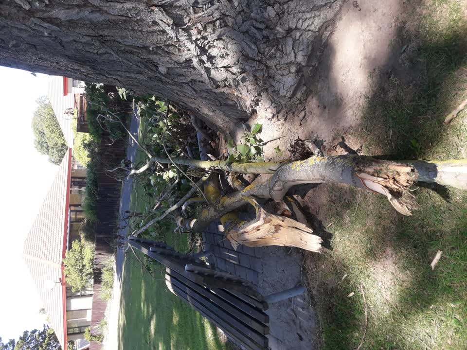 The photograph attached to this parks report