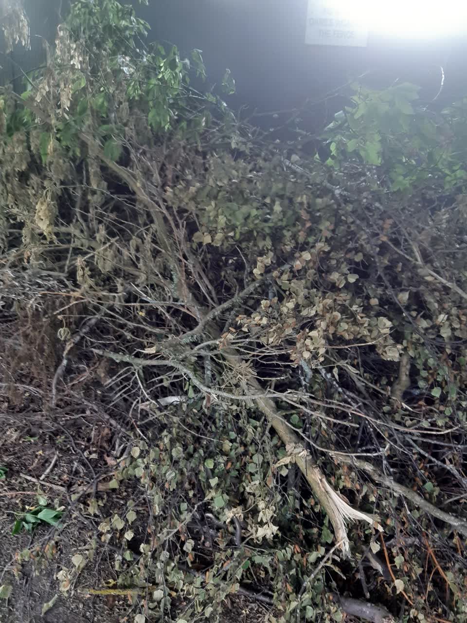 The photograph attached to this parks report