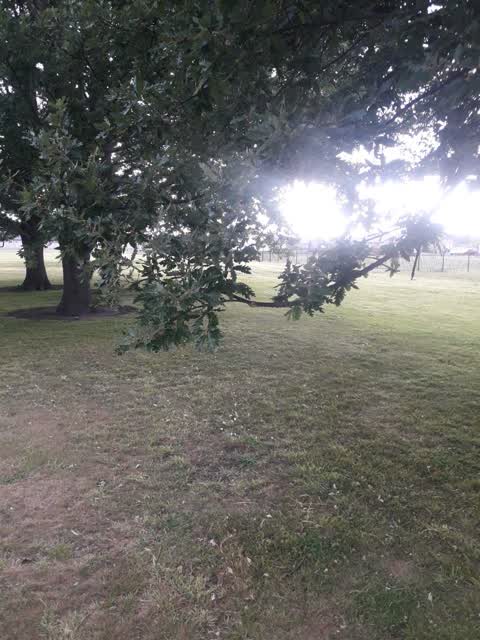 Parks, a report photo