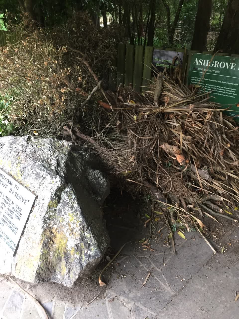 The photograph attached to this parks report