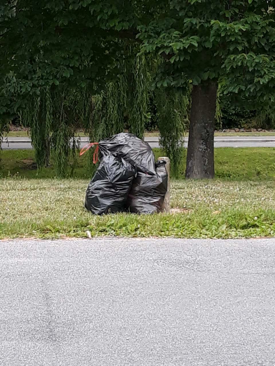 The photograph attached to this rubbish/recycling report