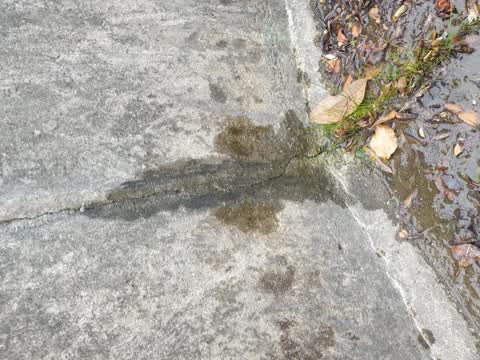Water Leak, a report photo