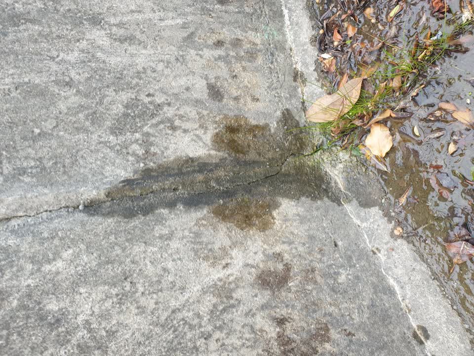The photograph attached to this water leak report