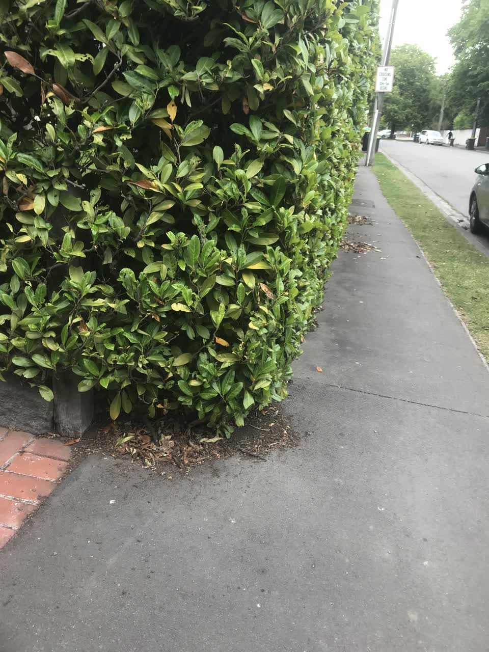 The photograph attached to this street light outage report