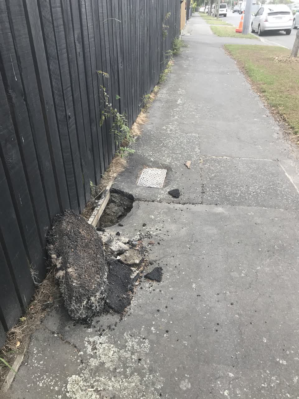 The photograph attached to this roading/streets report