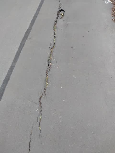Street Light Outage — a report photo