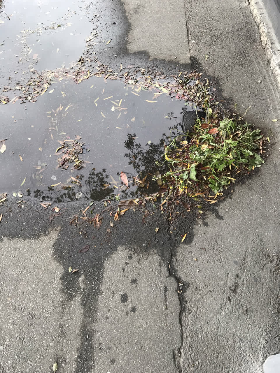 The photograph attached to this water leak report