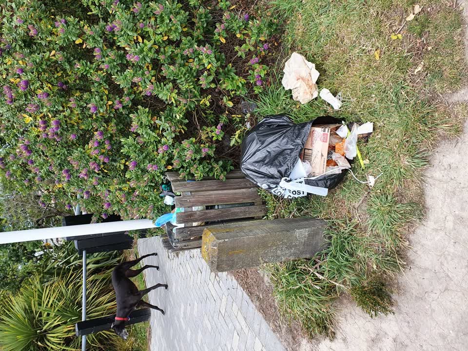 The photograph attached to this rubbish/recycling report
