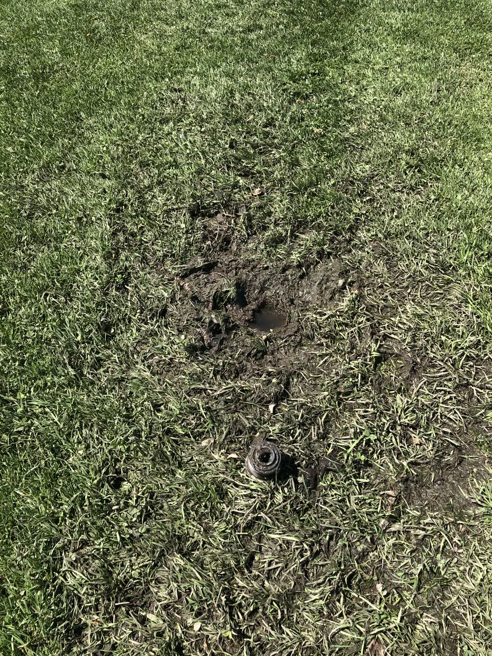 The photograph attached to this street light outage report