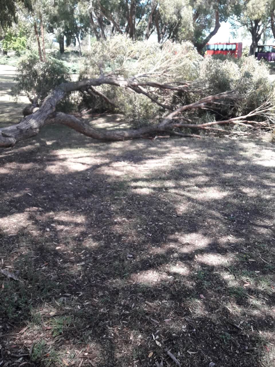 The photograph attached to this parks report