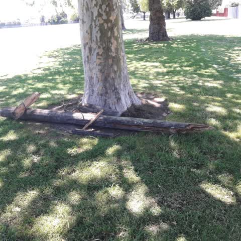 Parks, a report photo