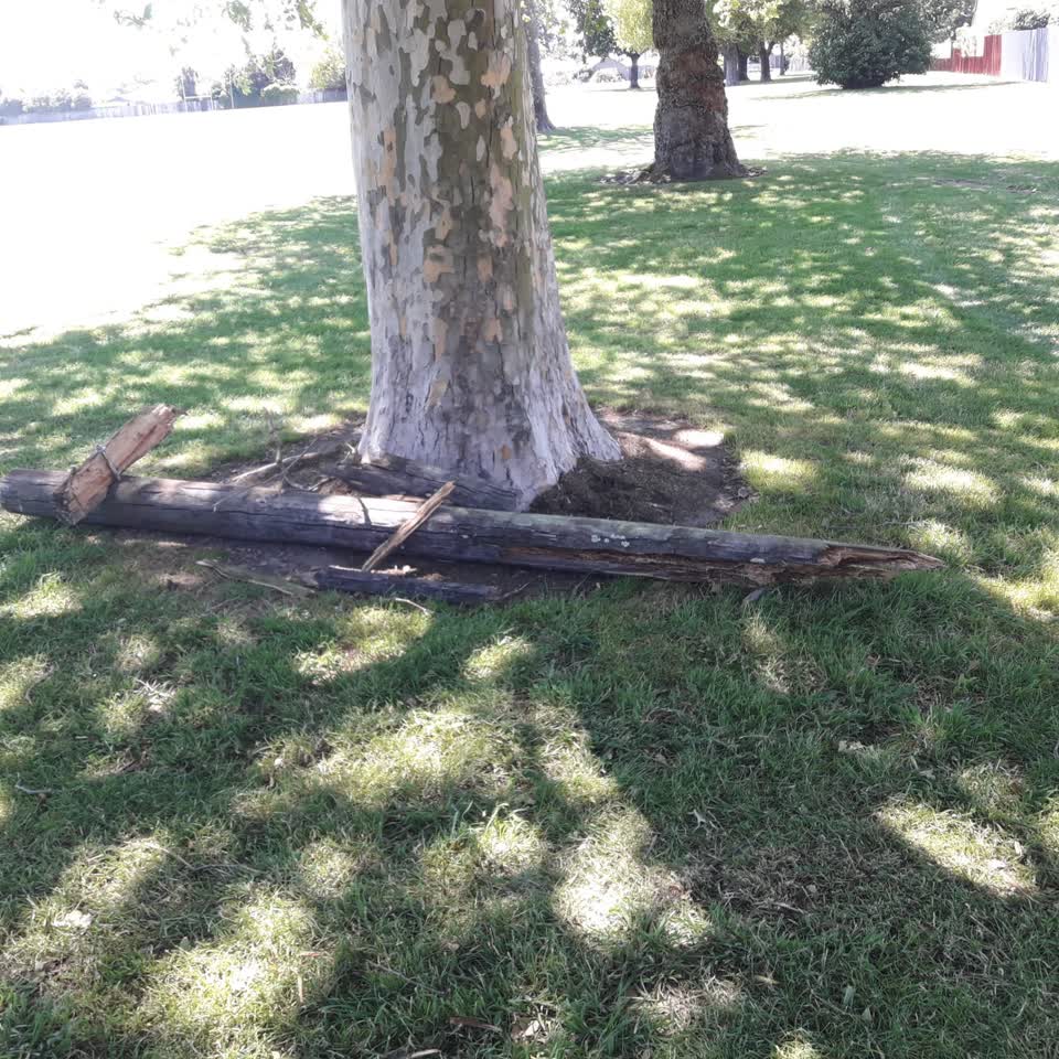 The photograph attached to this parks report