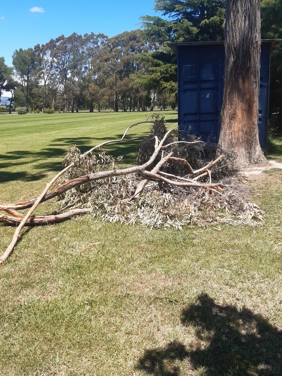The photograph attached to this parks report