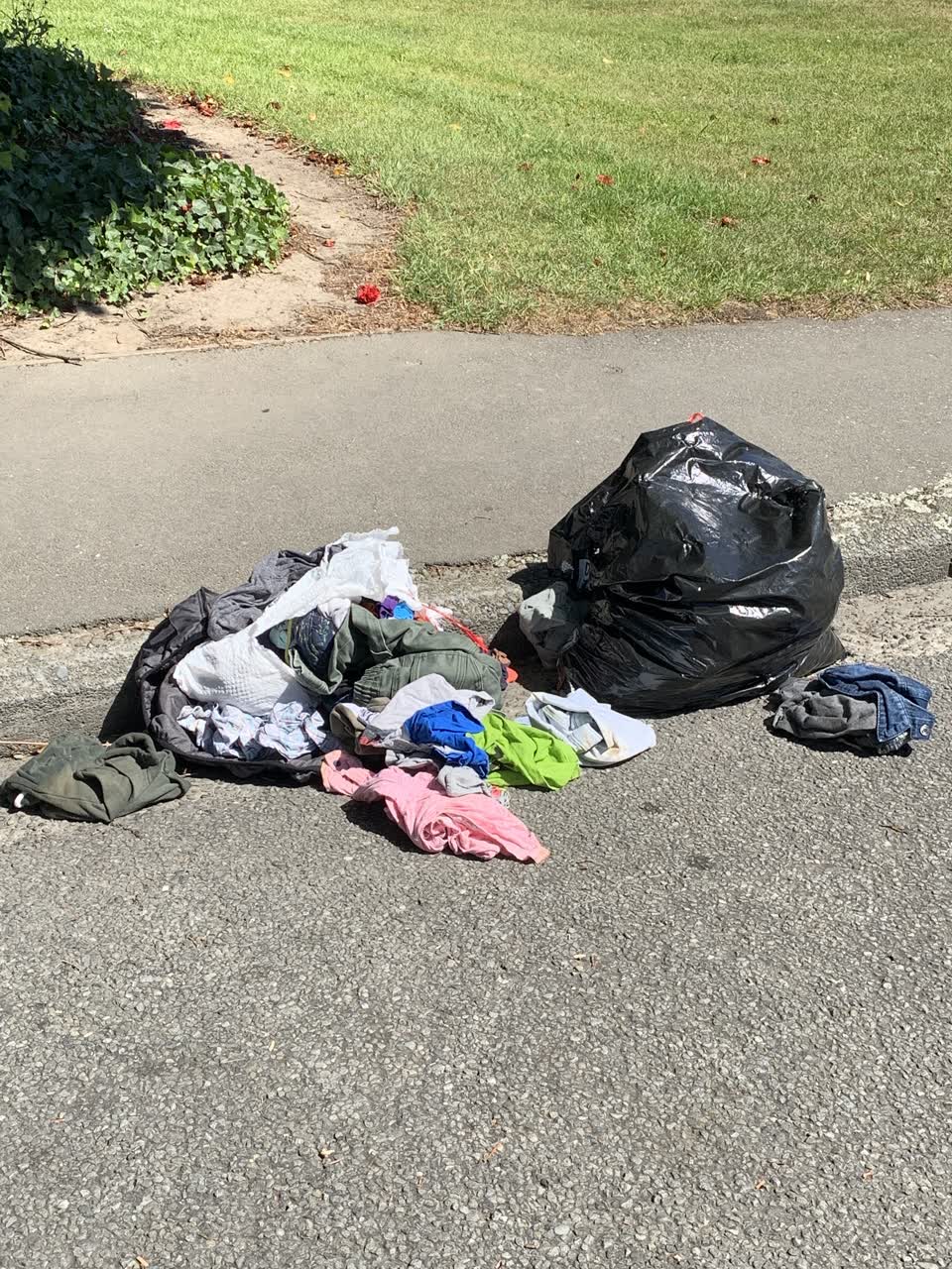 The photograph attached to this rubbish/recycling report