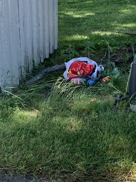 Rubbish/Recycling, a report photo