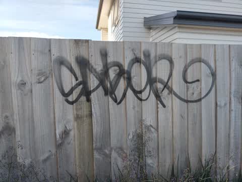 Graffiti, a report photo