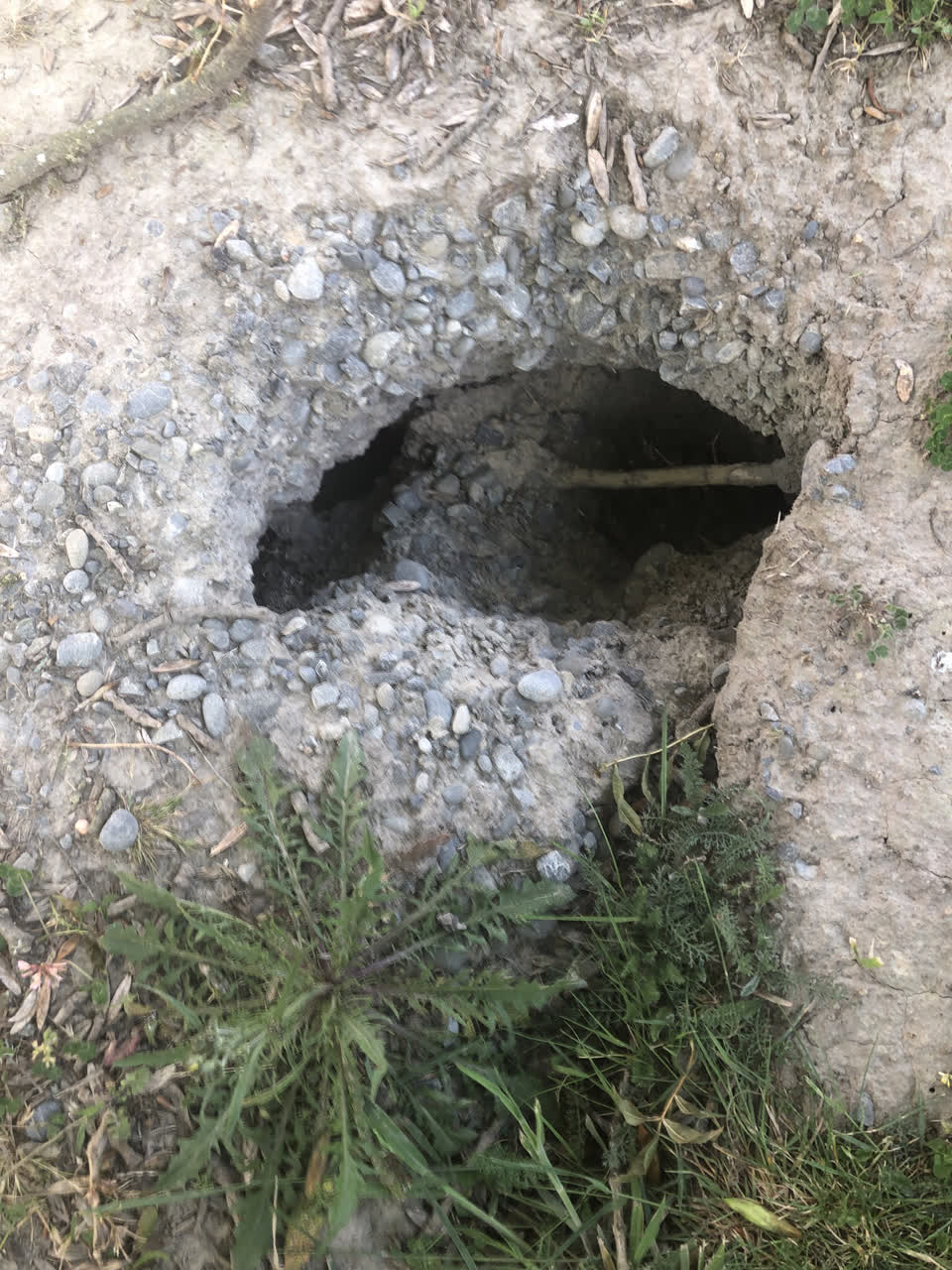 The photograph attached to this street light outage report