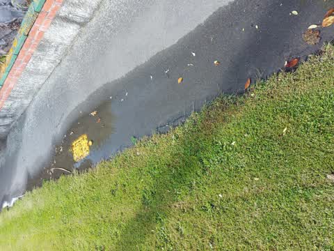 Water Leak, a report photo