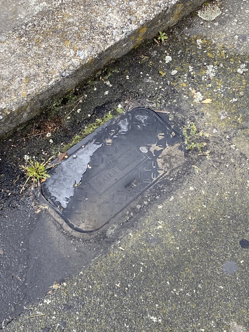 The photograph attached to this water supply report
