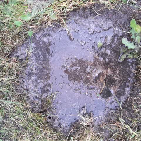 Water Leak, a report photo