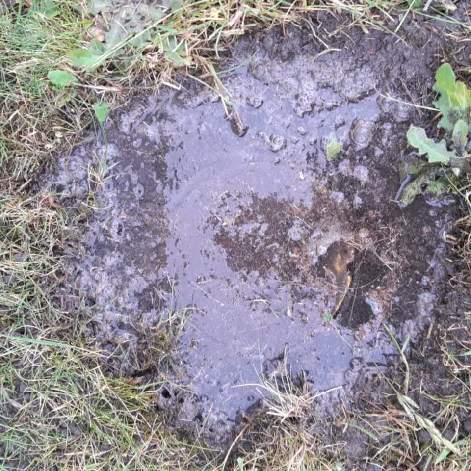 The photograph attached to this water leak report