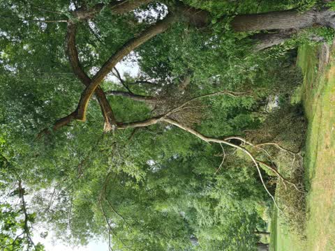 Parks — a report photo