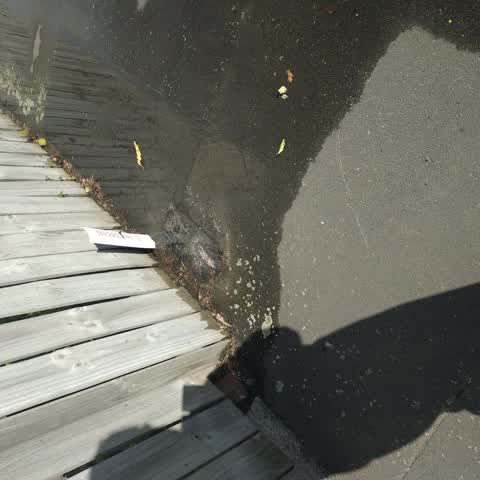 Water Leak, a report photo