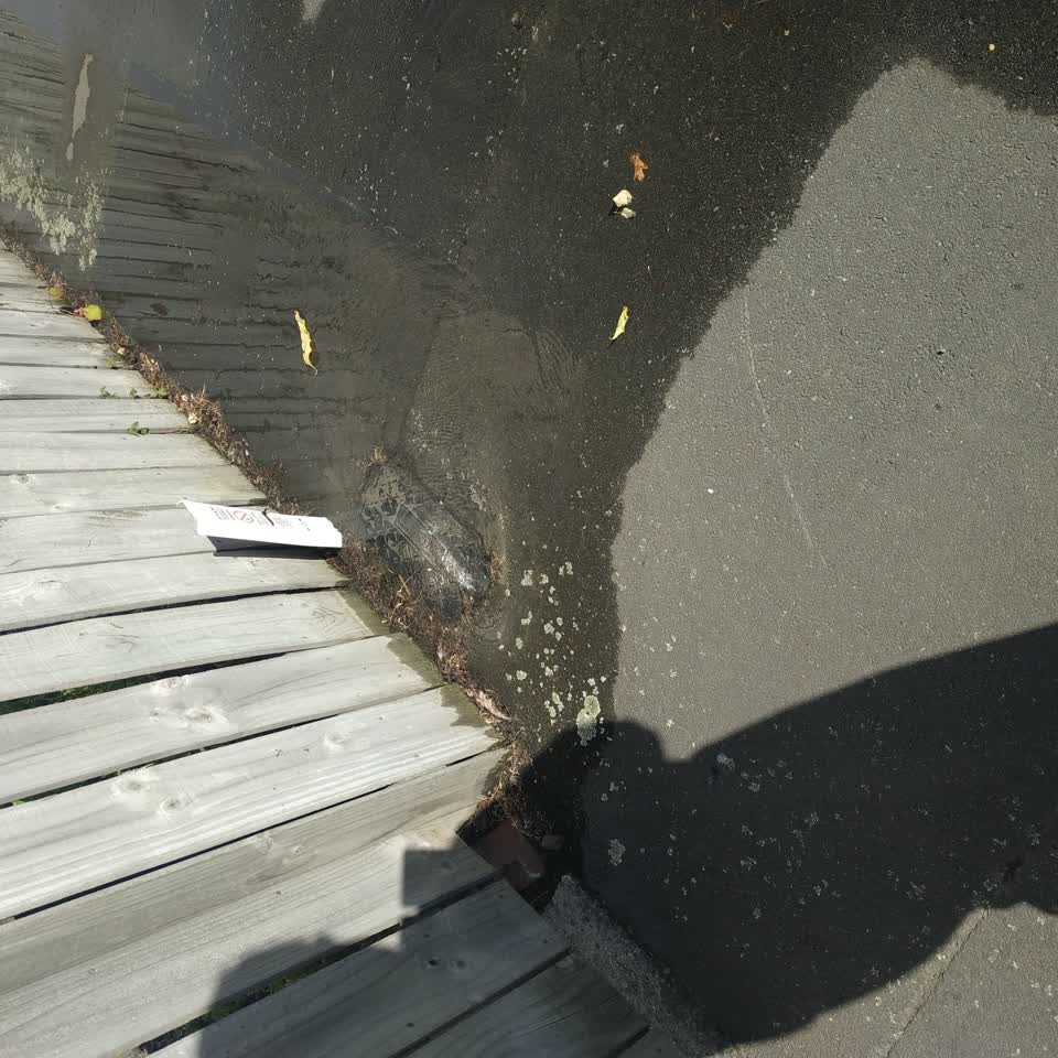 The photograph attached to this water leak report