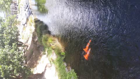 General Request, a report photo