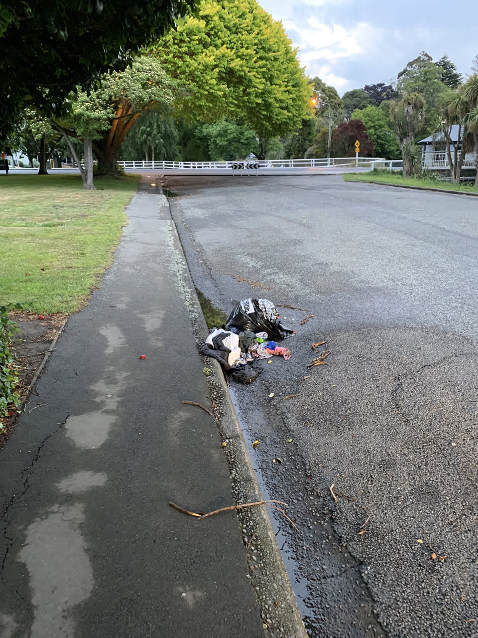 The photograph attached to this rubbish/recycling report
