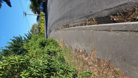 Street Light Outage, a report photo