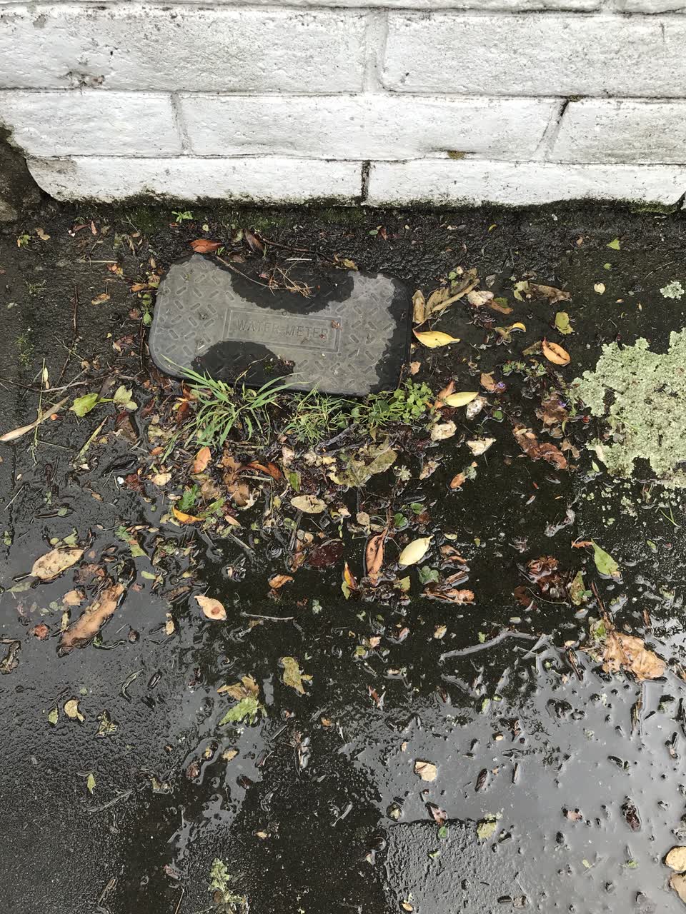 The photograph attached to this water leak report