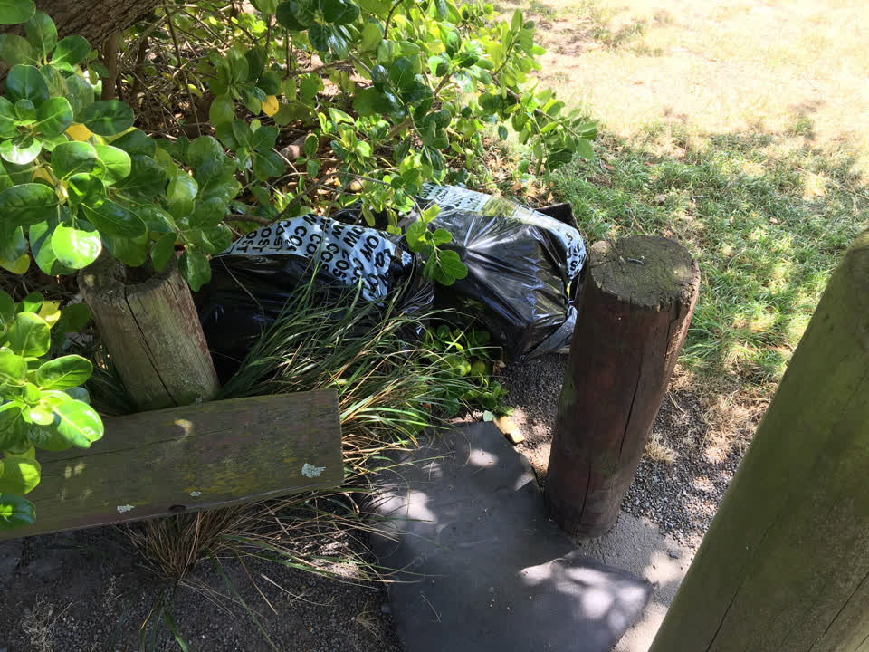 The photograph attached to this parks report