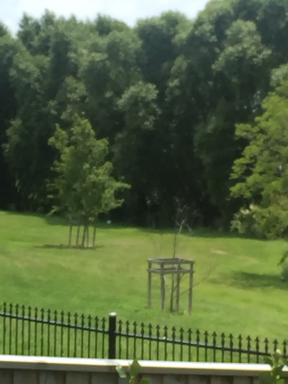 The photograph attached to this parks report