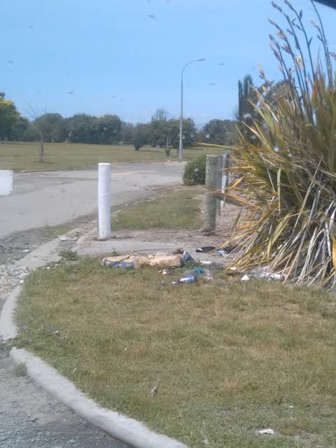 Rubbish/Recycling, a report photo