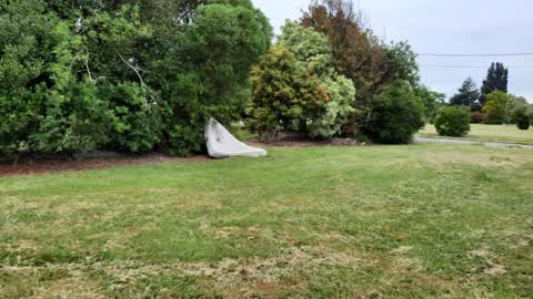 Rubbish/Recycling, a report photo