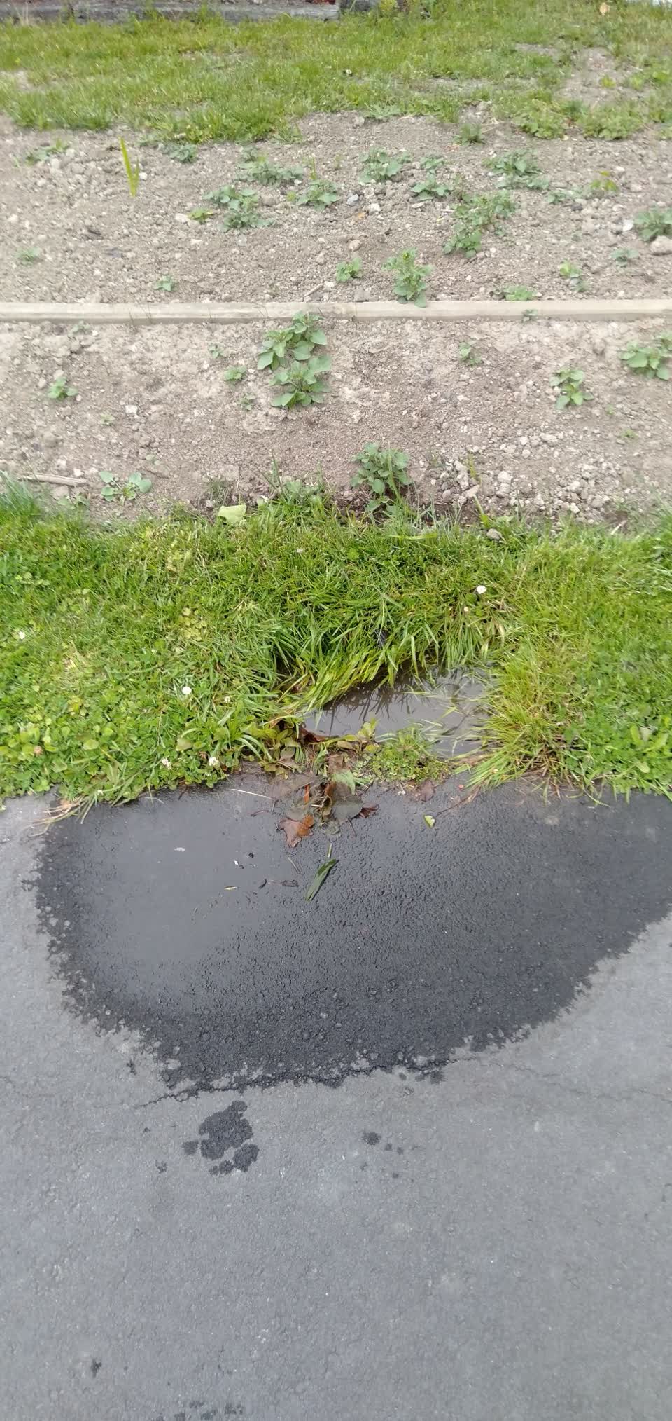 The photograph attached to this water supply report