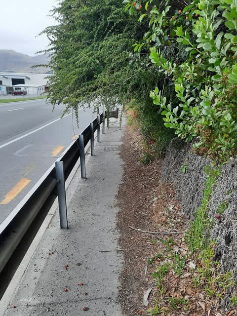 Street Light Outage, a report photo