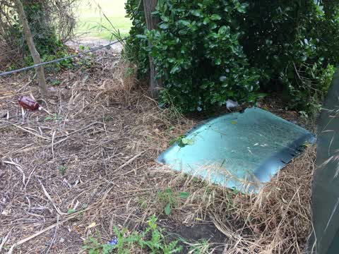 Rubbish/Recycling — a report photo