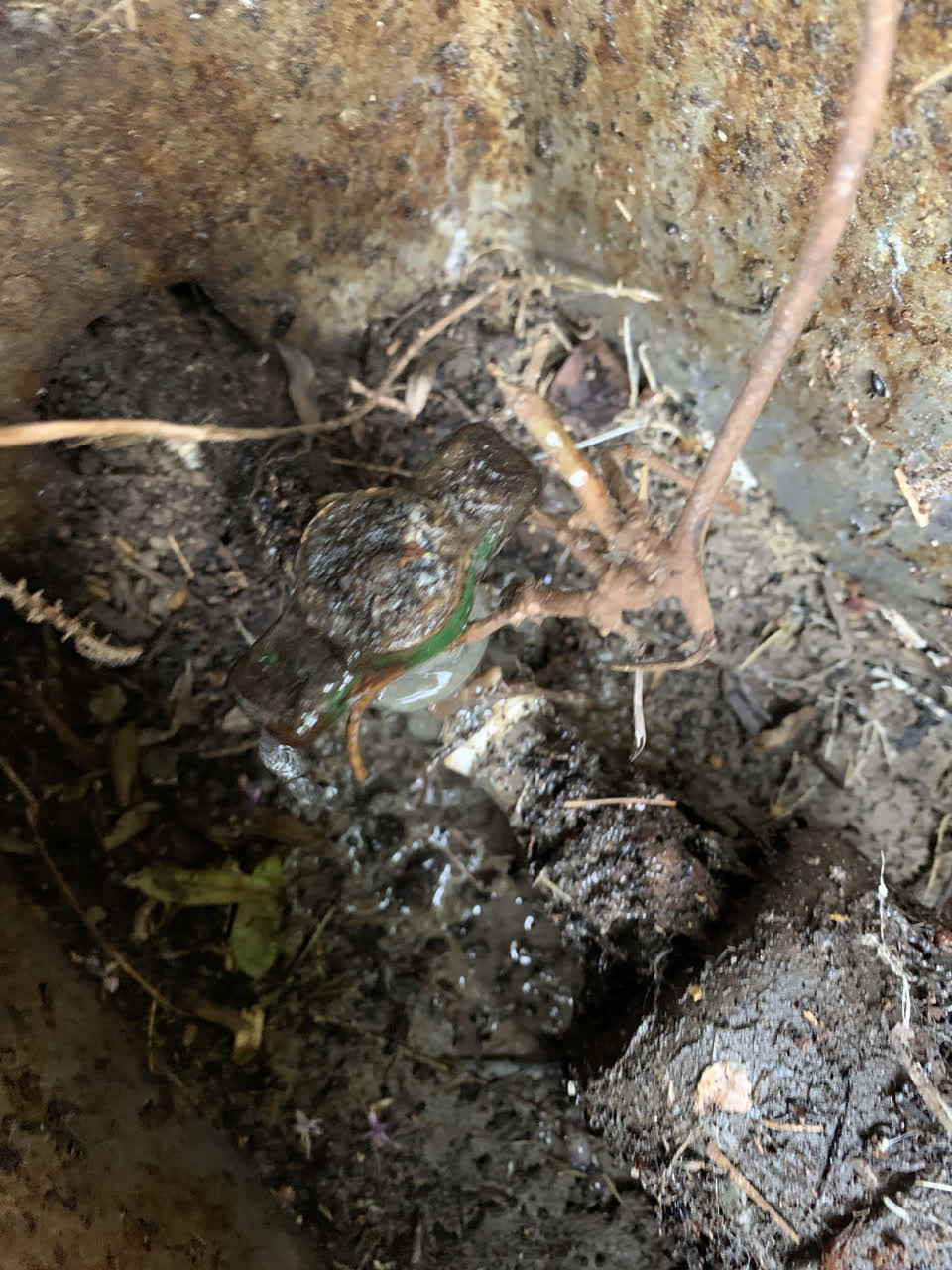 The photograph attached to this water leak report