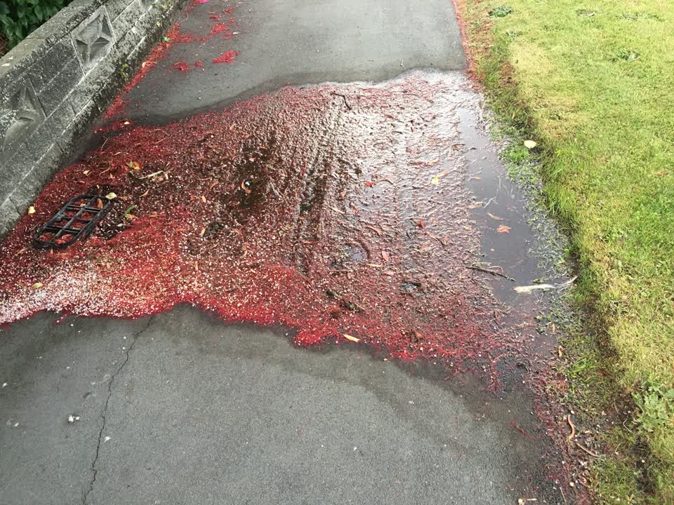 The photograph attached to this sewer - leak / blockage report