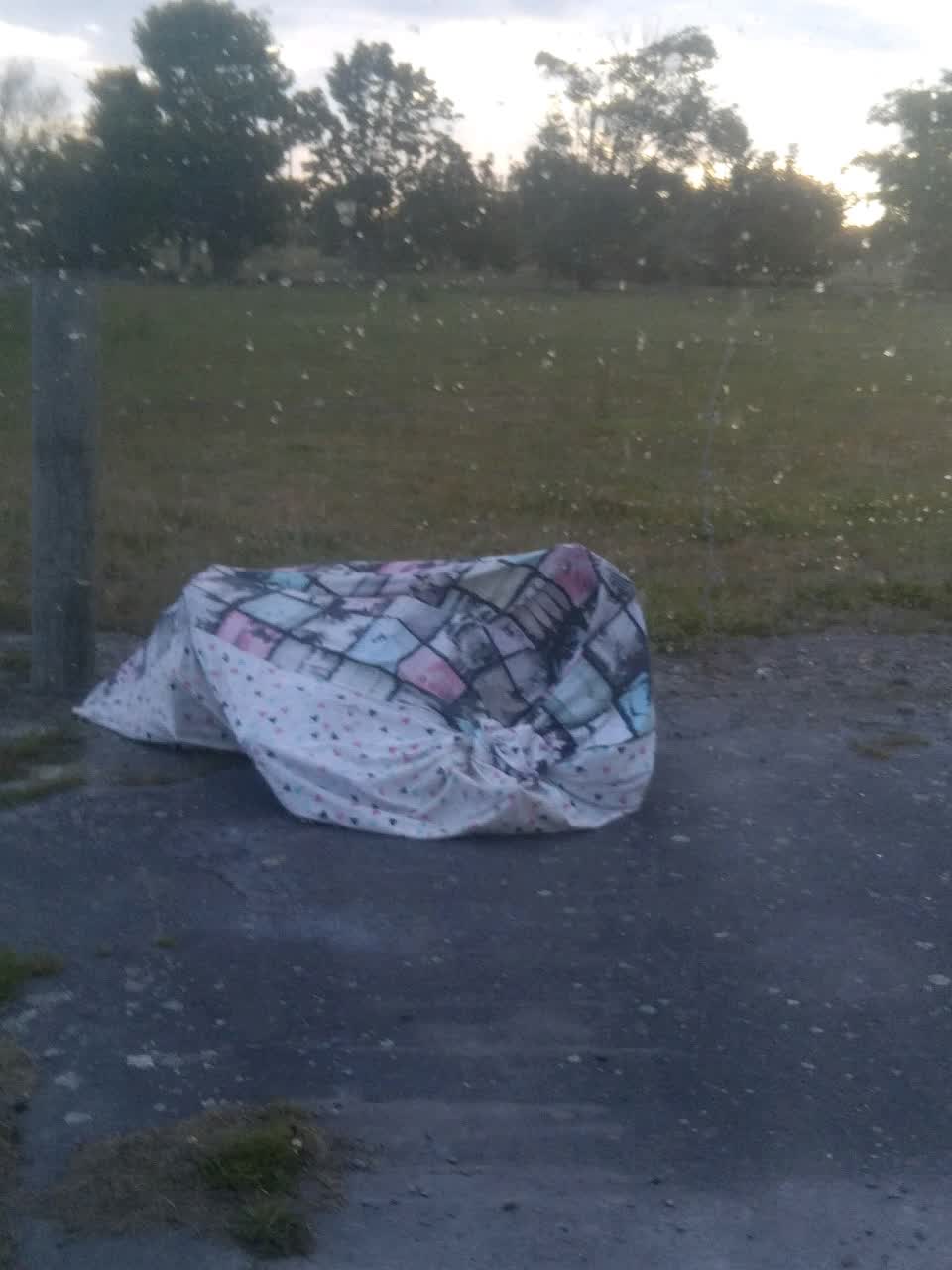 The photograph attached to this rubbish/recycling report