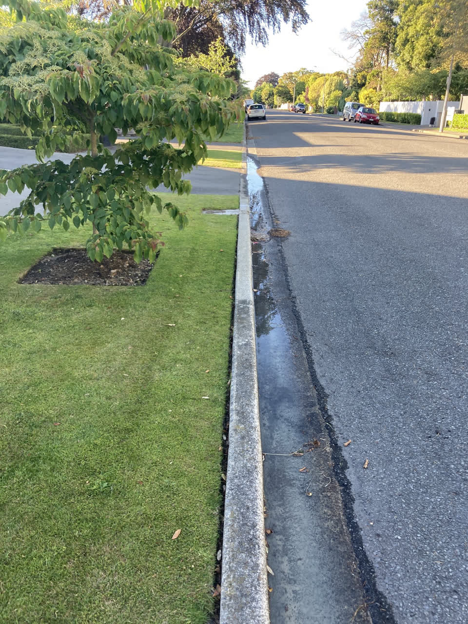 The photograph attached to this water leak report