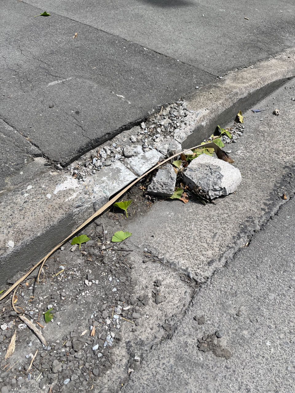 The photograph attached to this roading/streets report